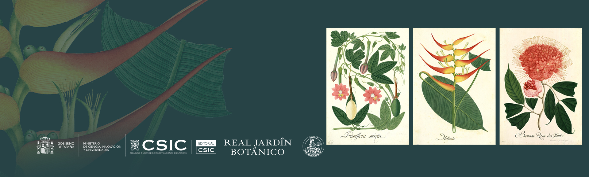 José Celestino Mutis. Real Expedición Botánica del Nuevo Reino de Granada  (1783-1816)